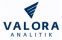 Logo valora analitik